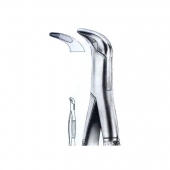 Extracting Forceps American Pattern